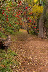 Naklejka premium Sedona Arizona on a Rainy Autumn Day 