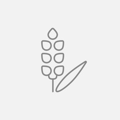 Wheat line icon.