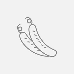 Cucumber line icon.