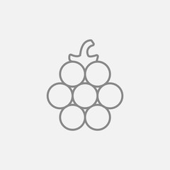 Raspberry line icon.