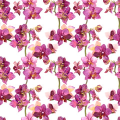 Fototapeta na wymiar Seamless pattern with orchids on white background 