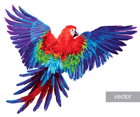 Colorful realistic parrots macaw © doublebubble_rus