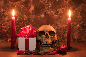 Still life painting photography with human skull, present, rose