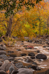 Sedona Arizona on a Rainy Autumn Day