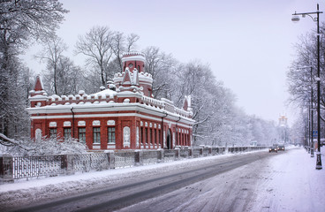 Зима в Царском Селе Winter in Tsarskoye Selo