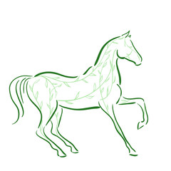 Naklejka na ściany i meble Horse`s silhouette with green floral lines in motion. Vector.