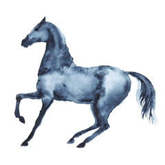 Watercolor black horse in motion. Beautiful hand drawing illustration on white.