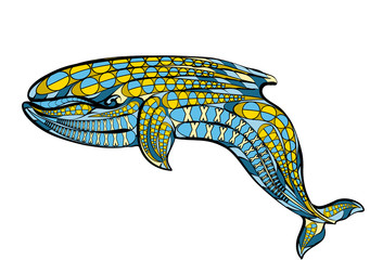 ethnic blue whale