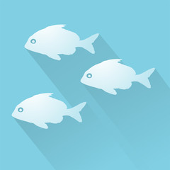 fishes illustration