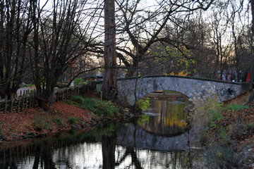 Br&uuml;ckle mitten im Wald