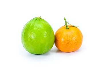 Miniature corsican clementine and miniature green lemon