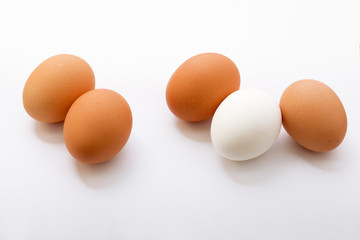 Eggs on white background