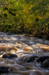 Fototapeta premium Sedona Arizona on a Rainy Autumn Day