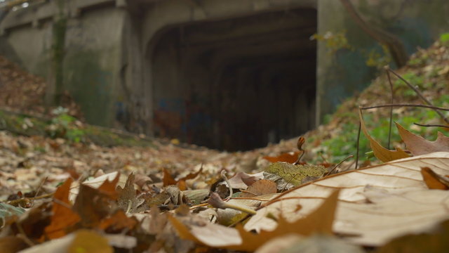 Ground view and rack focus of autumn leaves to a grunge tunnel at the city outskirts.