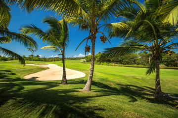 Naklejka na ściany i meble Golf course. Beautiful landscape of a golf court with palm trees