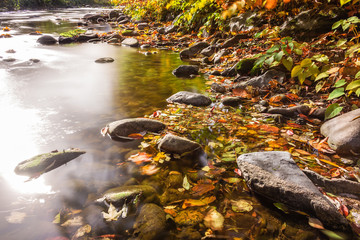 herbstlicher Flusslauf im Schwarzwald