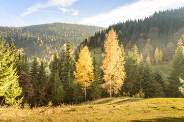 Colorful autumn landscape in the mountains

