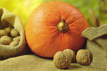 Pumpkin and walnuts