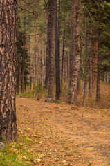 Sedona Arizona on a Rainy Autumn Day