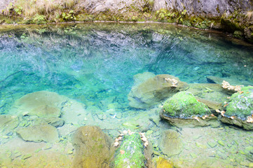 Tauz underground spring, Apuseni mountains, Romania

