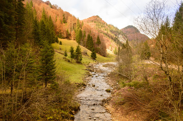 Fototapeta na wymiar trail with river through the autumn forest 