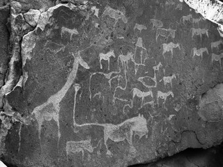 Prehistoric Bushman engravings at Twyfelfontein in Namibia