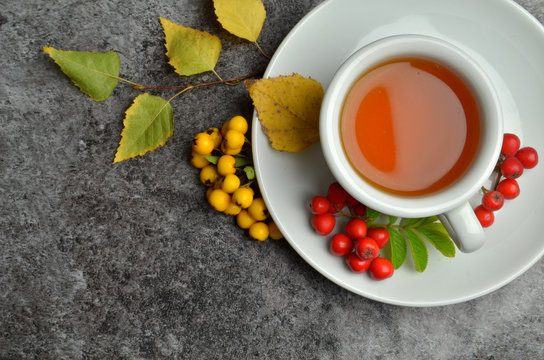 bio herbal natural tea