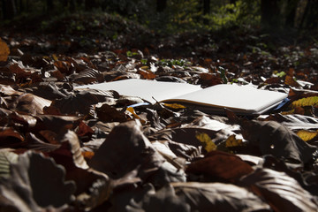 autumn leaves and empty book