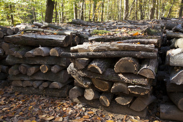 Fototapeta na wymiar timber stacks