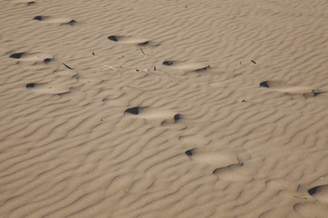 footprint in the sand