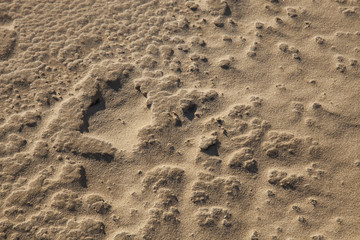sand texture