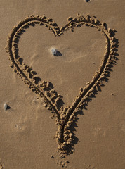heart