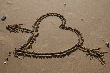 heart