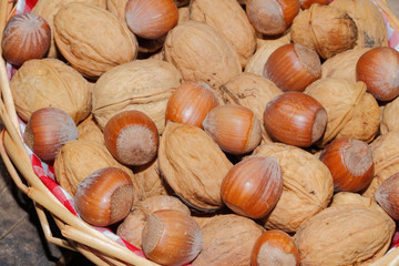 Walnüsse, Haselnüsse, Nüsse, Korb, geerntet