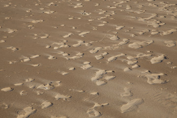 sand texture