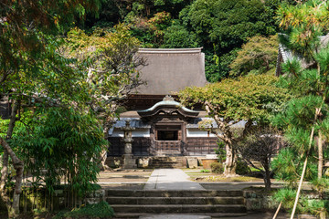 秋の鎌倉　円覚寺　舎利殿