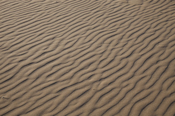 sand texture