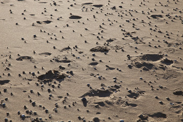 sand texture