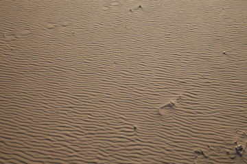 sand texture