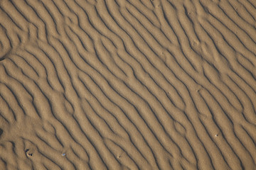 sand texture