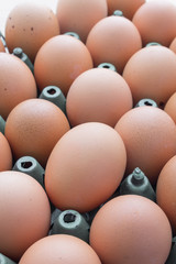 Eggs with plastic crates