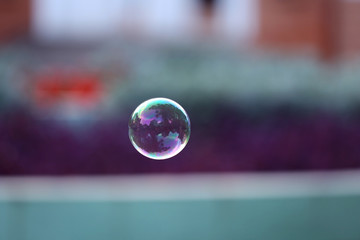 Soap bubble outdoor