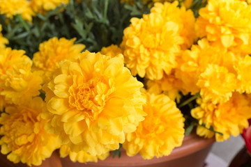 Colourful artificial flower made from plastic and fabric.