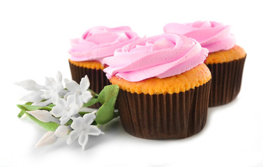 Tasty cupcakes, isolated on white