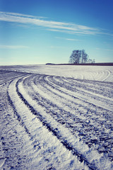 Fototapeta na wymiar Landscape with plowed agricultural field in early winter