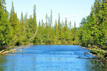 Naklejka premium Россия, Кольский полуостров, ручей Эльморайок