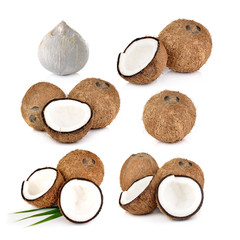 coconut on white background