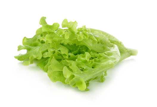 fresh lettuce leaves isolated on white background.