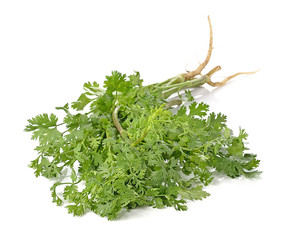 parsley isolated on white background.