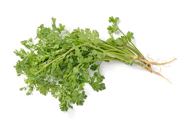 parsley isolated on white background.